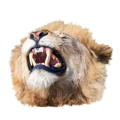 Lion life emoji 😁