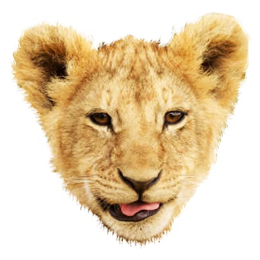 Стікер Lion life 👼