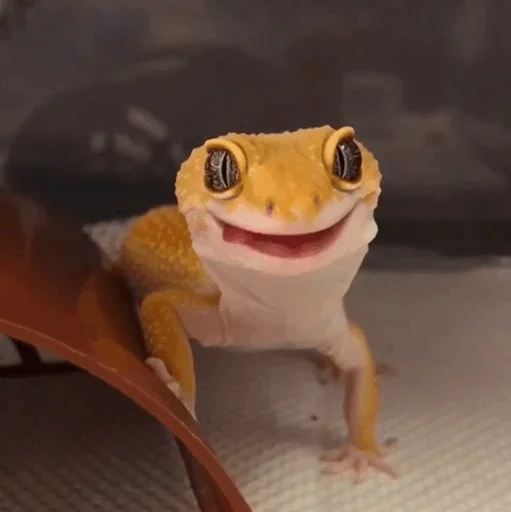 Lizard Boy emoji 😉