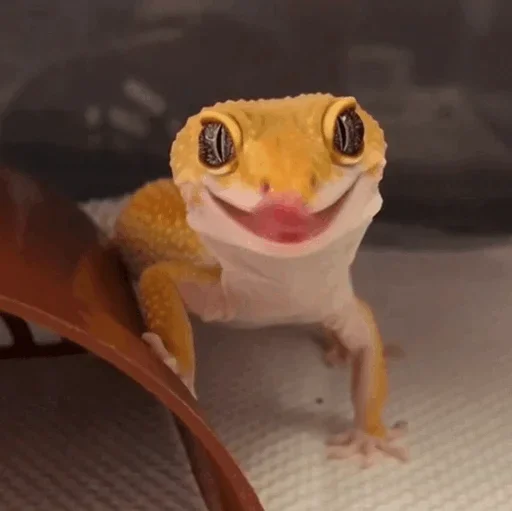 Lizard Boy emoji 🧐