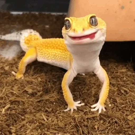 Lizard Boy emoji 😌
