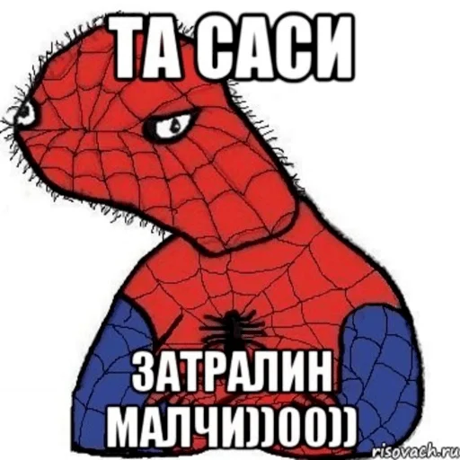 Название агентства недвижимости. Саси саси. Саси мемы. Не советую. Sasi pisos мем.