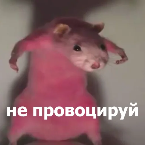 Стикер Funny Animals 4  😠