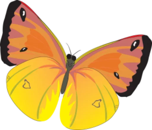 Стикер Telegram «butterflyes» 🎀