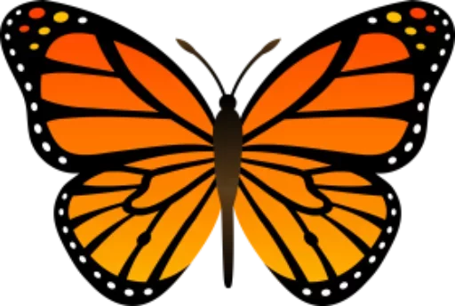 Telegram Sticker «butterflyes» 🎀