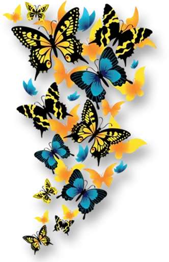 Стікер butterflyes 🎀