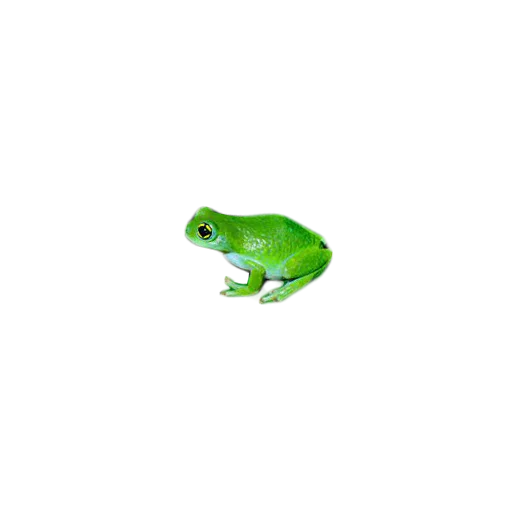Эмодзи frogs 🐸