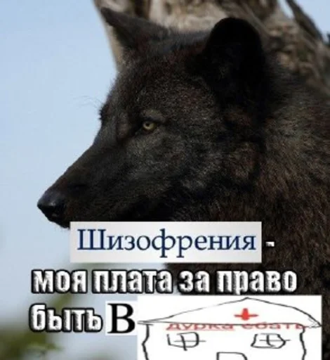 шиза в 13 лет sticker 🐺