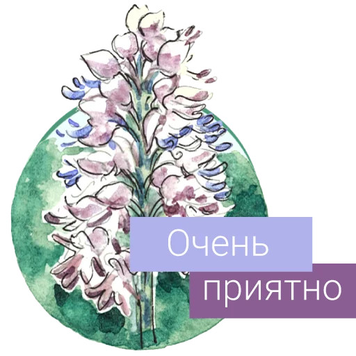 Стикеры телеграм Редкие растения России