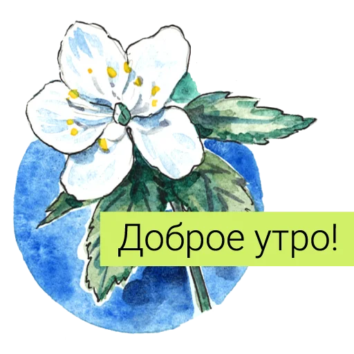 Редкие растения России emoji 🌞