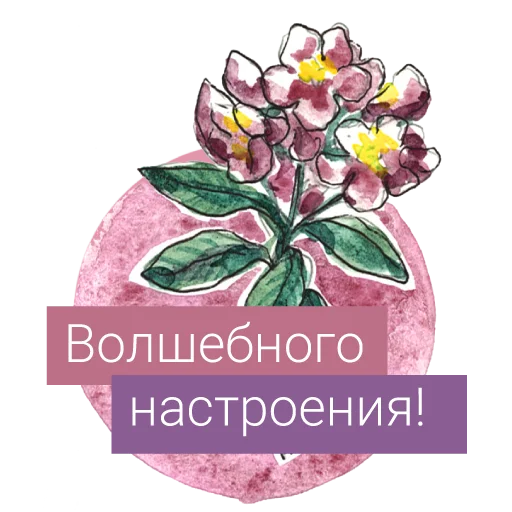 Редкие растения России emoji 🧚‍♀️