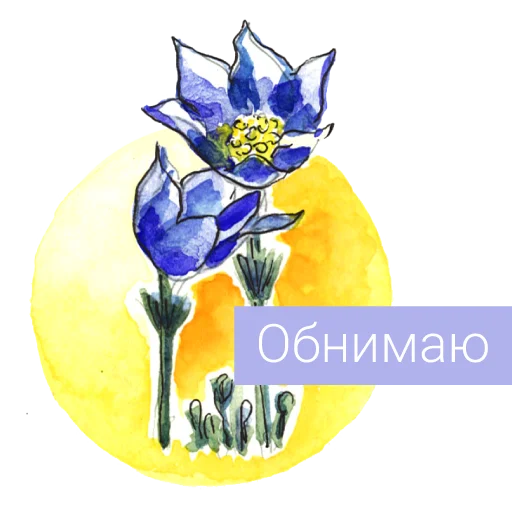 Редкие растения России emoji 🤝