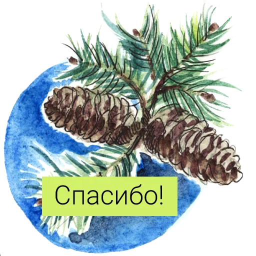 Редкие растения России emoji ☺️