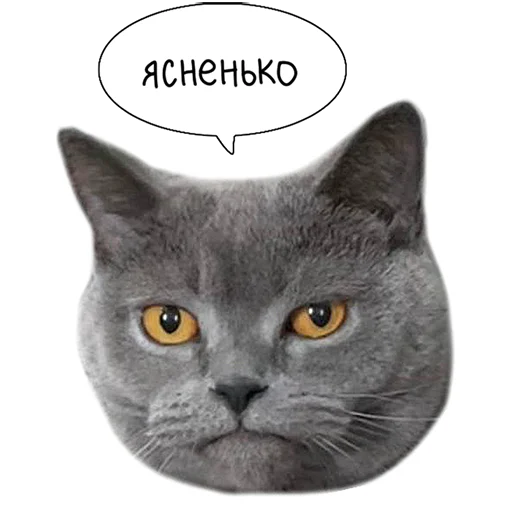 Laksheri_realkotaksheri sticker 😐