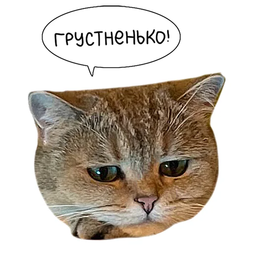 Laksheri_realkotaksheri sticker 😥