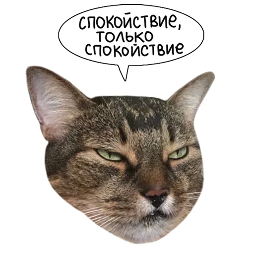 Laksheri_realkotaksheri sticker 😶