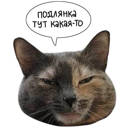 Laksheri_realkotaksheri sticker 🤥