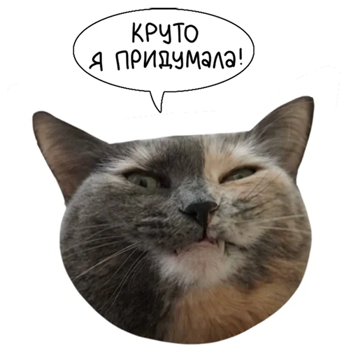 Laksheri_realkotaksheri sticker 🤓