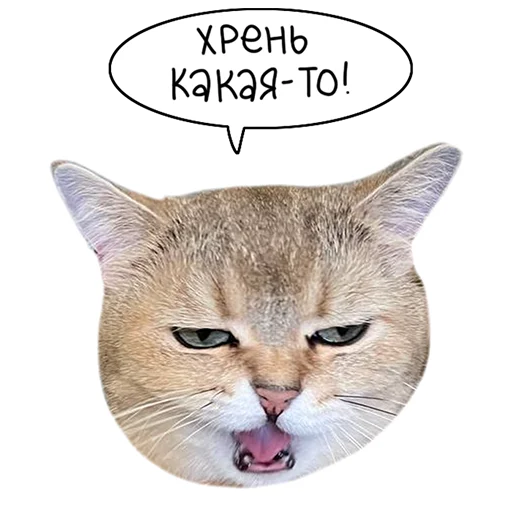 Laksheri_realkotaksheri sticker 🥴