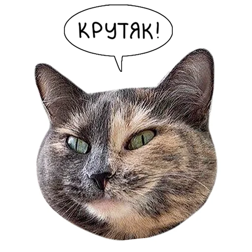 Telegram stiker «Laksheri_realkotaksheri» 👍