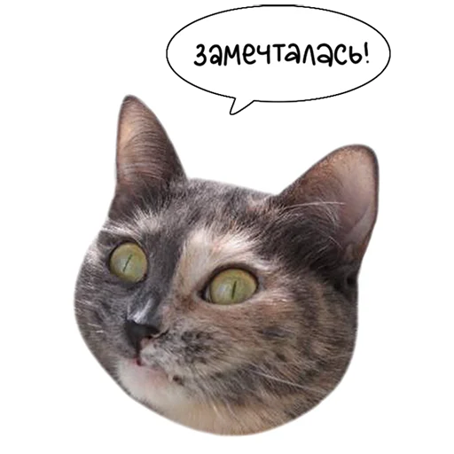 Telegram Sticker «Laksheri_realkotaksheri» 😚