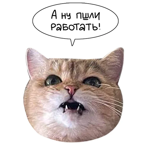 Laksheri_realkotaksheri stiker 😡