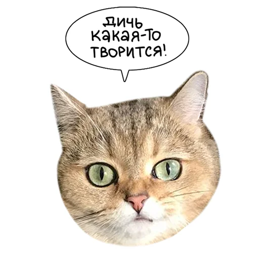 Laksheri_realkotaksheri sticker 👹
