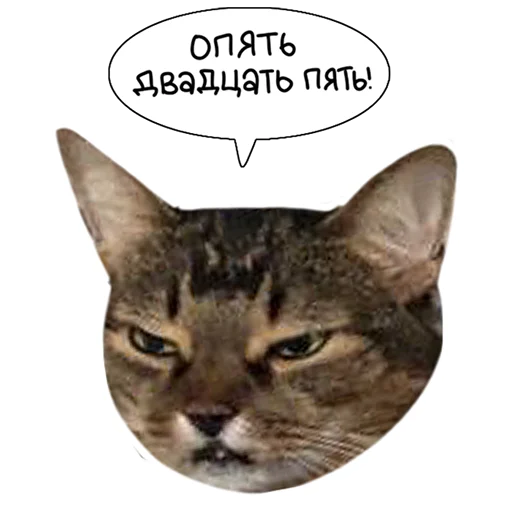 Telegram Sticker «Laksheri_realkotaksheri» 😠