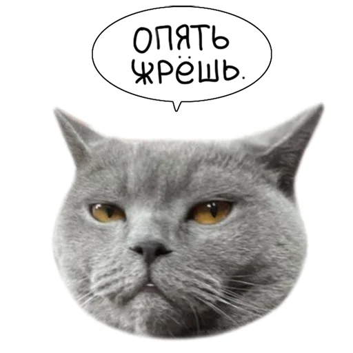 Laksheri_realkotaksheri emoji 🧐