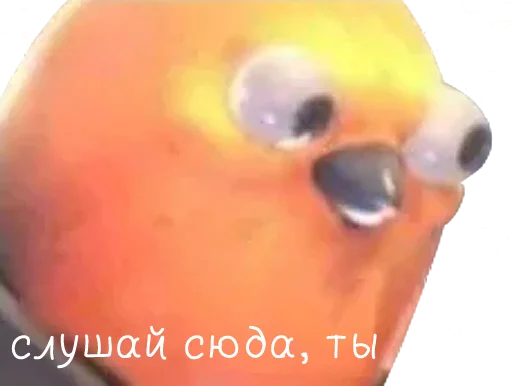 bird memes by loromoin emoji 😡