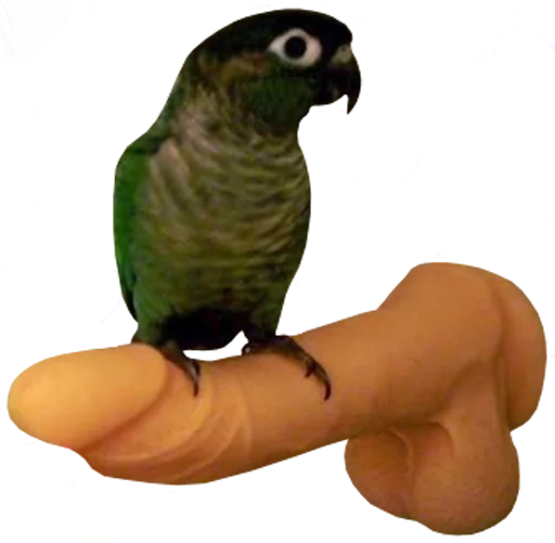 bird memes by loromoin sticker 👈