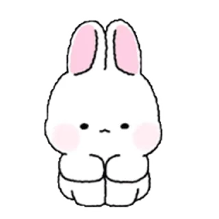 Lovely Rabbit Tozzi  sticker 😣