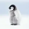 Емодзі Пингвины 🐧