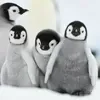 Эмодзи телеграм Пингвины