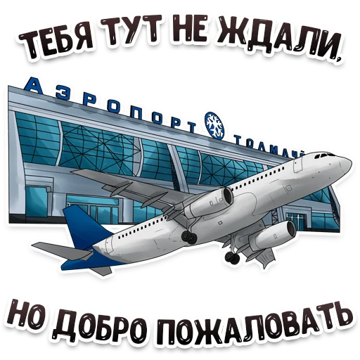 Стикер Telegram «MDK Novosibirsk» ✈️