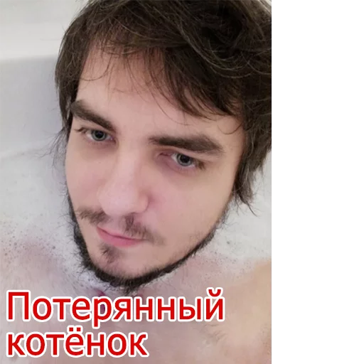 Стикер Мэддисон 😿