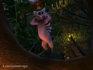 Стикер Madagascar 🕺
