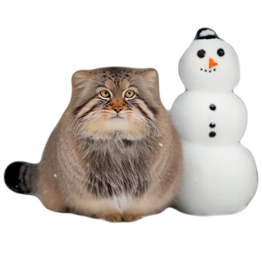 Winter Manul emoji ☃️