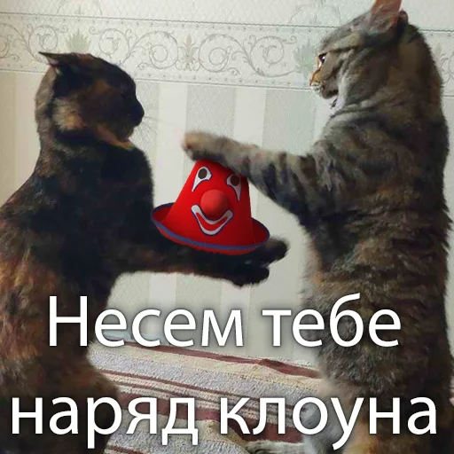 Telegram stiker «Кошки» 🤡