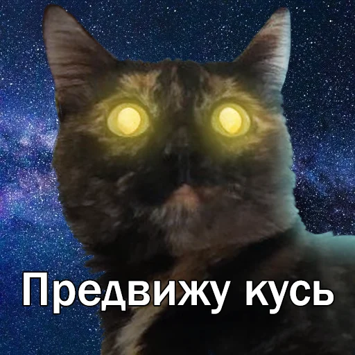 Telegram Sticker «Кошки» 👹