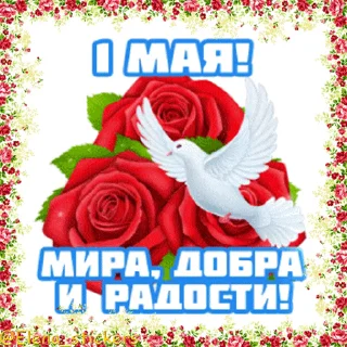 1 Мая  sticker 🎈