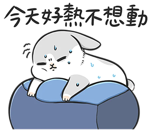 Machiko rabbit 4 (orig) stiker 🥵