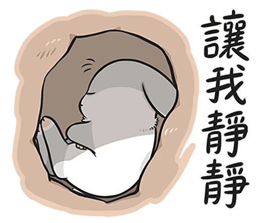 Machiko rabbit 4 (orig) stiker 😴