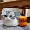 Cats emoji 😨
