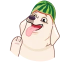 Эмодзи Melon Dog  👋