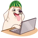 Эмодзи Melon Dog  💻