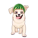 Melon Dog stiker 🏃