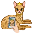 Эмодзи Memes With Cats 👸