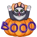 Memes With Cats stiker 🎃