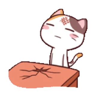 Meong the Meme Cat sticker 🙂